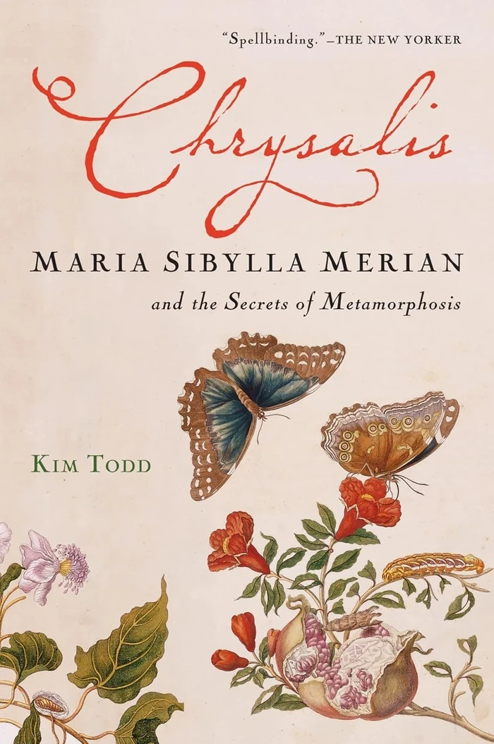 Chrysalis: Maria Sibylla Merian and the Secrets of Metamorphosis — book cover