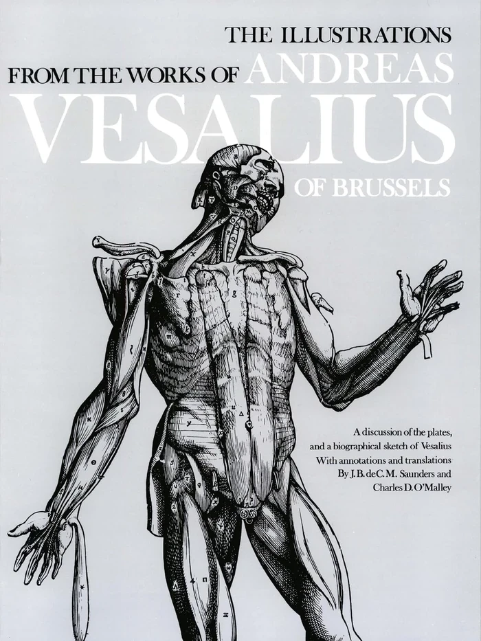 The Illustrations from the Works of Andreas Vesalius of Brussels (Dover Fine Art, History of Art) — book cover