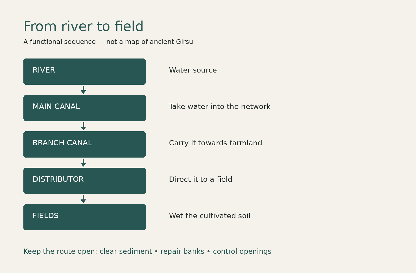 Functional diagram: river, main canal, branch canal, field distributor and fields; maintenance keeps each connection working.